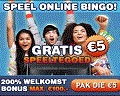 BingoCams Banner