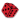 Playamo casino